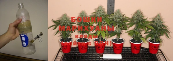 круглые Сосновый Бор