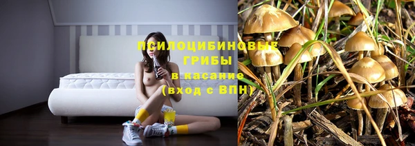 тгк Струнино