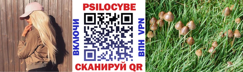 Купить закладки  Нефтеюганск  Галлюциногенные грибы мицелий 