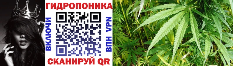 Купить закладки  Нефтеюганск  Бошки Шишки план 